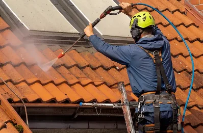 Démoussage et hydrofuge de toiture à Bué